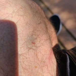 Meet your Posher, Jack